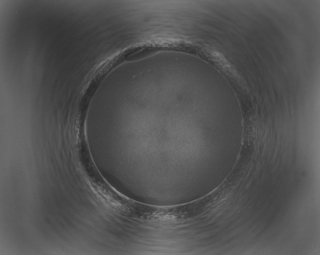 X0000083980640200702232045