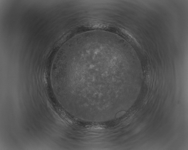 X0000083980643200702232045