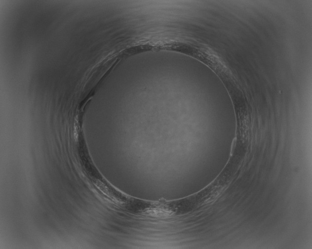 X0000083980644200702232045