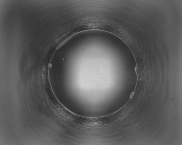 X0000083980646200702232045