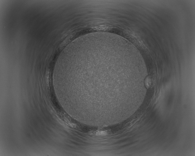 X0000083980647200702232046