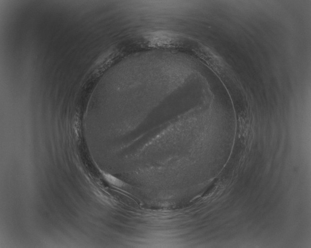 X0000083980648200702232046