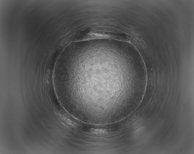 X0000083980649200702232046