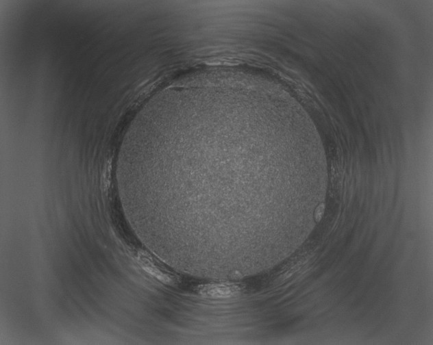 X0000083980652200702232046