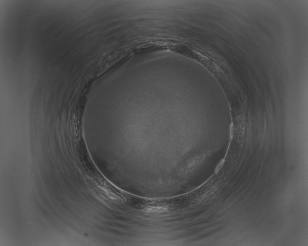 X0000083980653200702232046