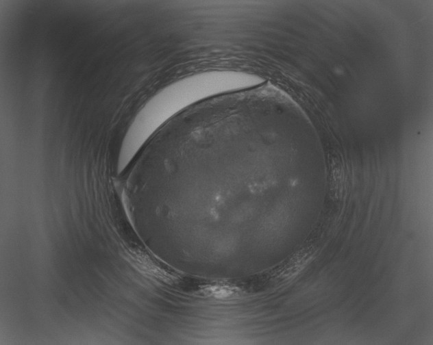 X0000083980654200702232046
