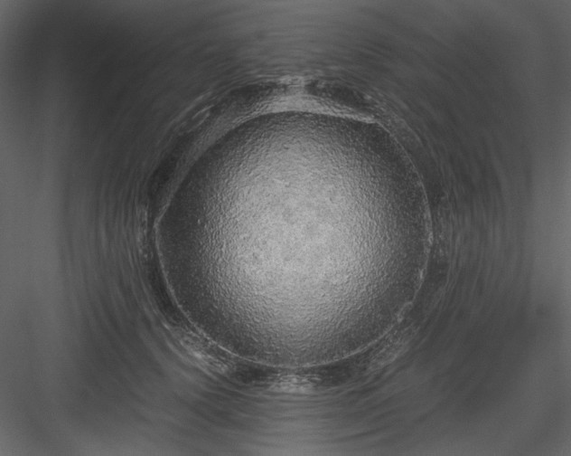 X0000083980656200702232046