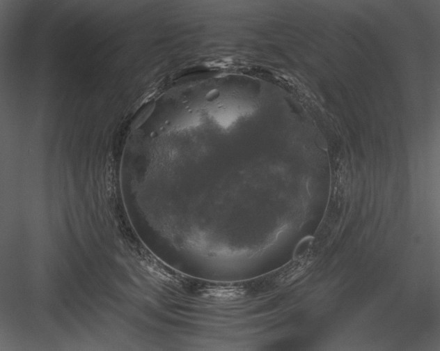 X0000083980659200702232046