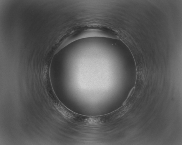 X0000083980660200702232046