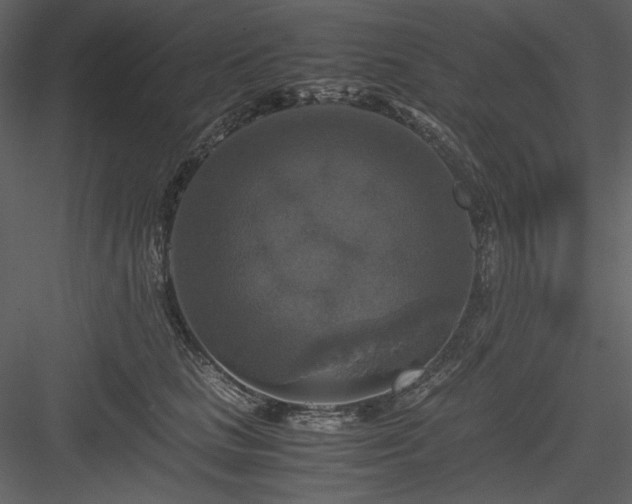 X0000083980661200702232046