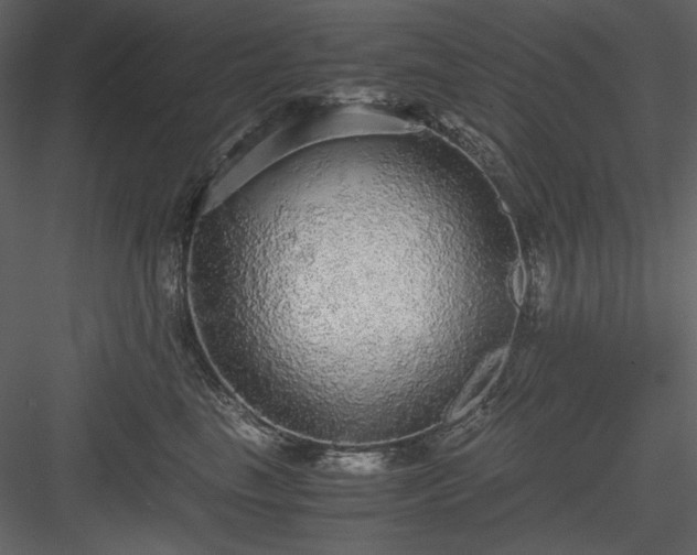 X0000083980665200702232046