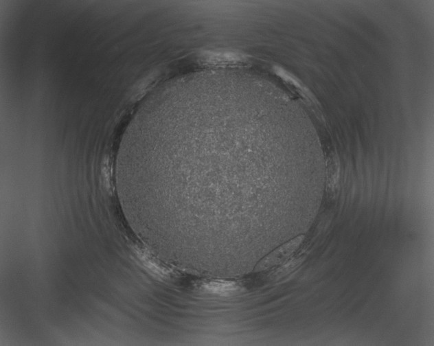 X0000083980669200702232046