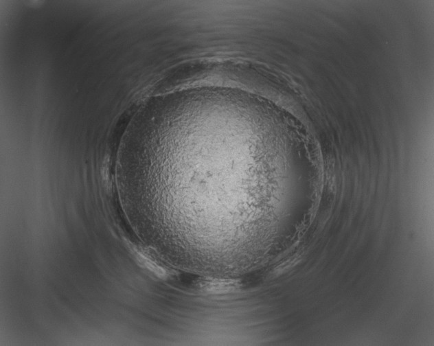 X0000083980670200702232046