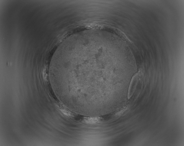 X0000083980671200702232046