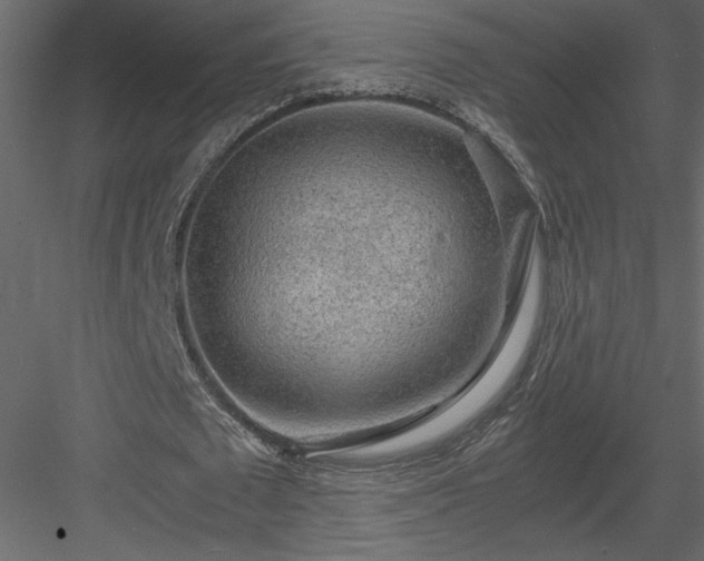 X0000083980673200702232045