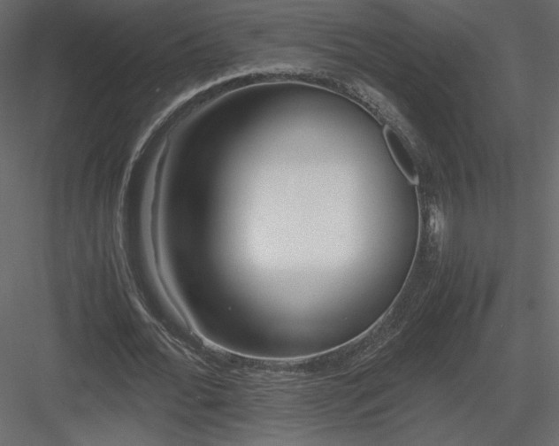 X0000083980676200702232045