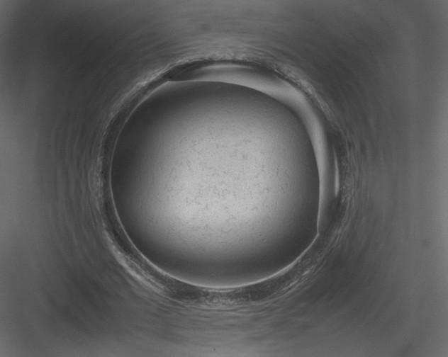 X0000083980677200702232045