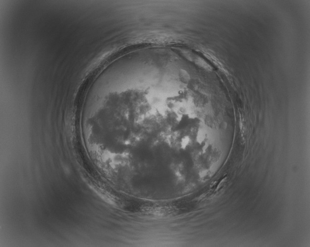 X0000083980679200702232045