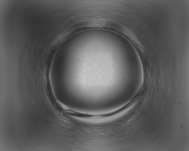 X0000083980681200702232045
