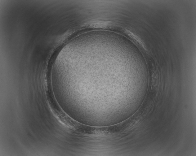 X0000083980682200702232045