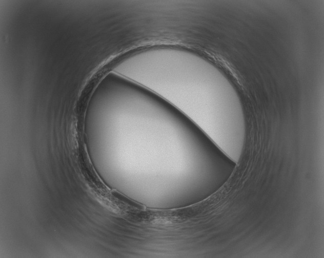X0000083980684200702232045