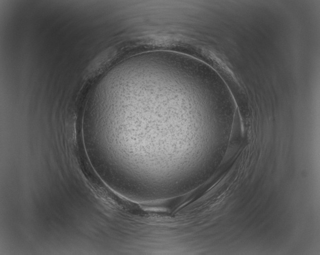 X0000083980685200702232045