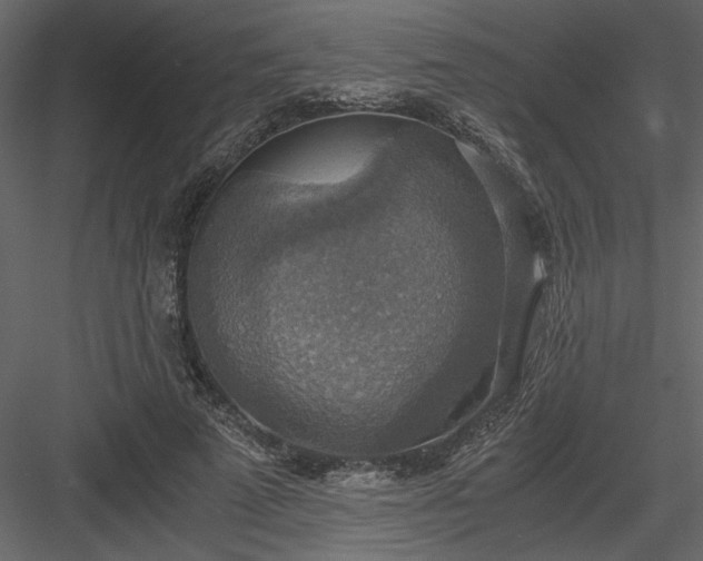 X0000083980689200702232045