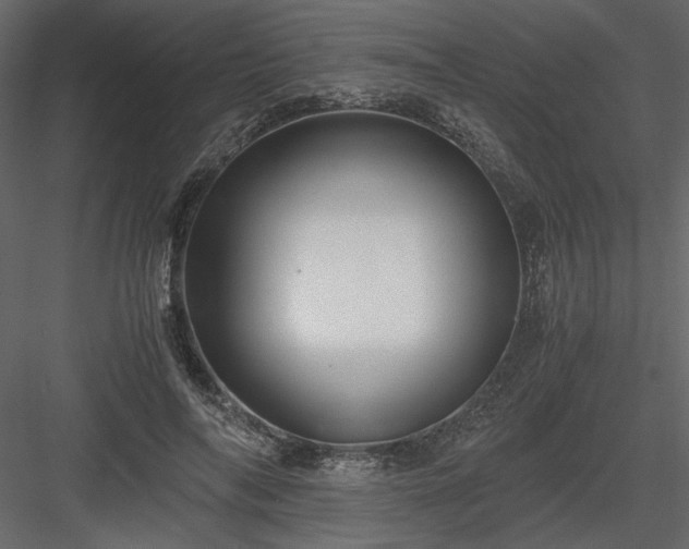 X0000083980694200702232045