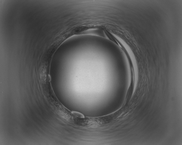 X0000083980697200702232045