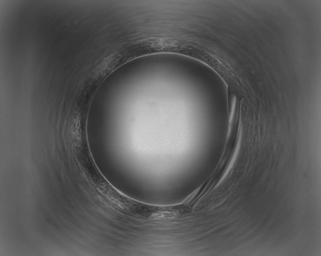 X0000083980700200702232045