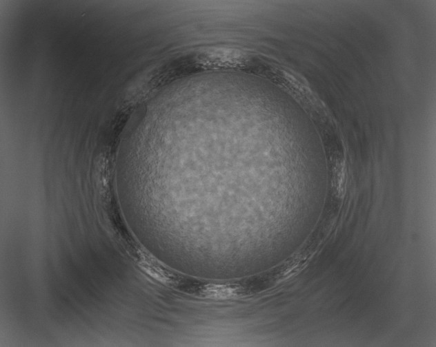 X0000083980701200702232045