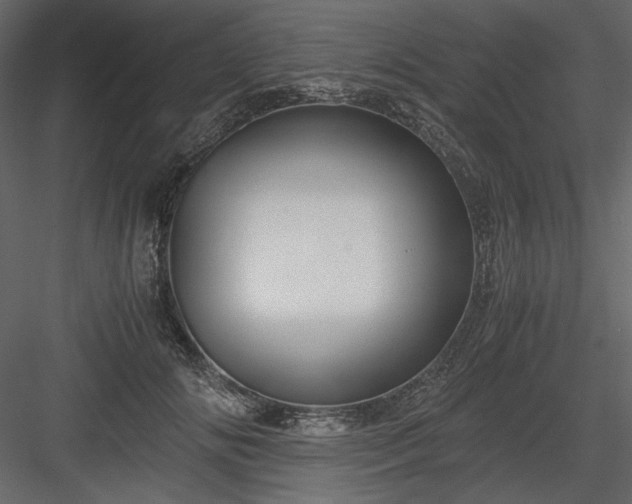 X0000083980702200702232045