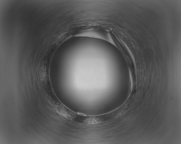 X0000083980704200702232045