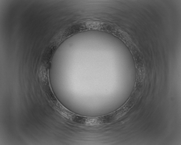 X0000083980705200702232045