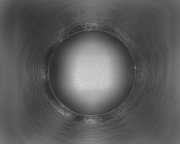 X0000083980706200702232045