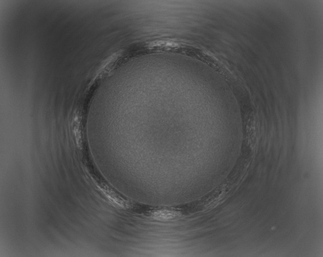 X0000083980708200702232045