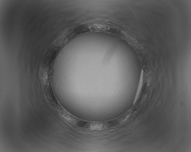 X0000083980709200702232044