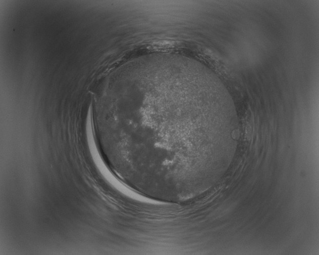 X0000083980711200702232044
