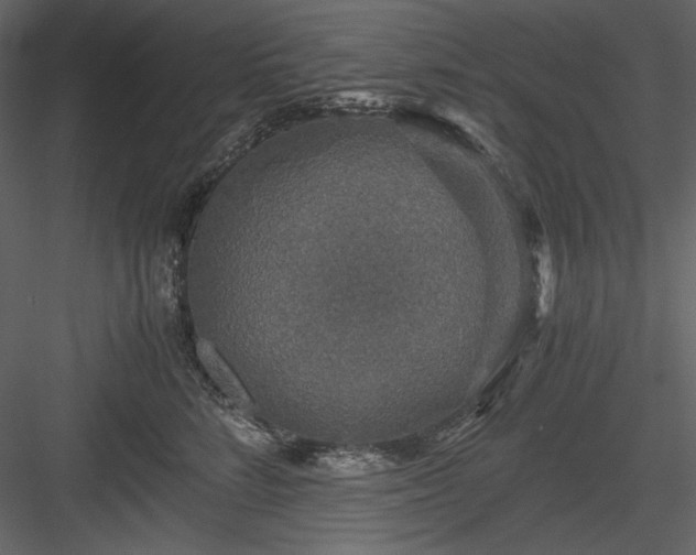X0000083980712200702232044