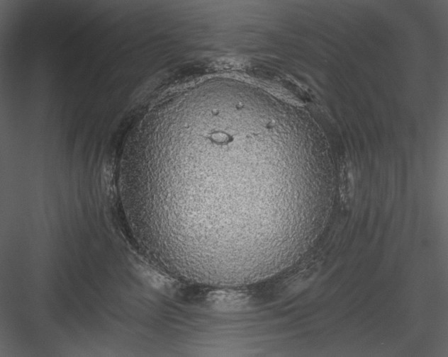 X0000083980714200702232044