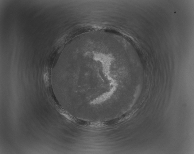 X0000083980720200702232044