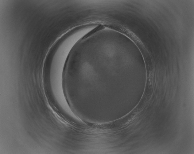 X0000083980722200702232043
