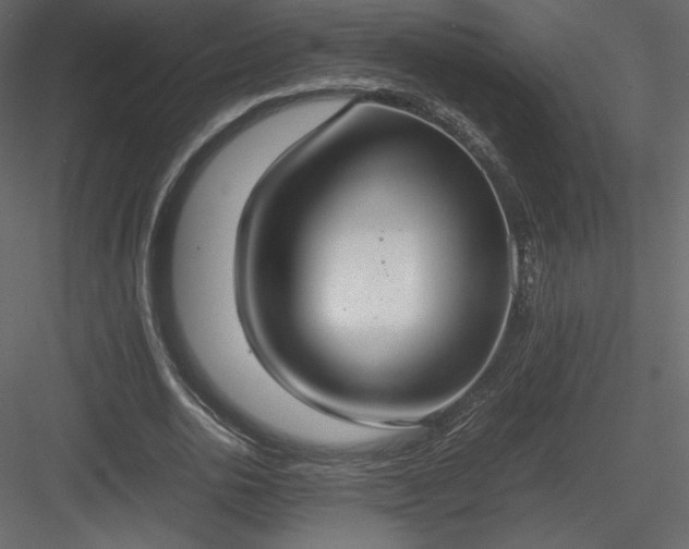 X0000083980726200702232044