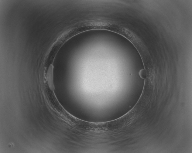X0000083980731200702232044