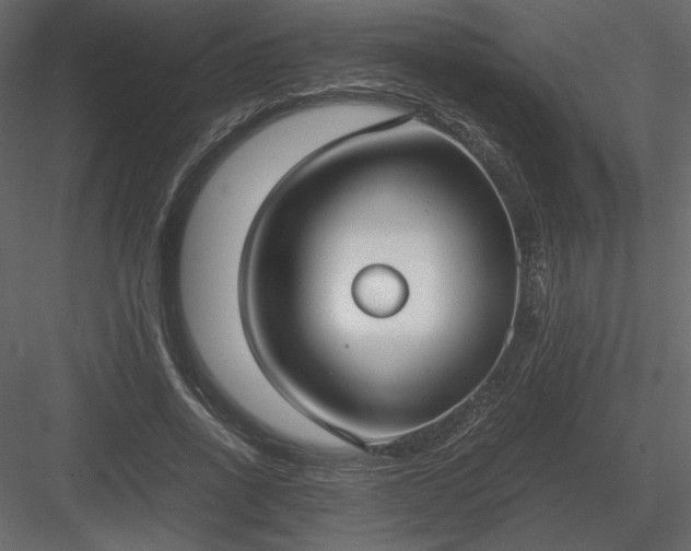 X0000083980734200702232044