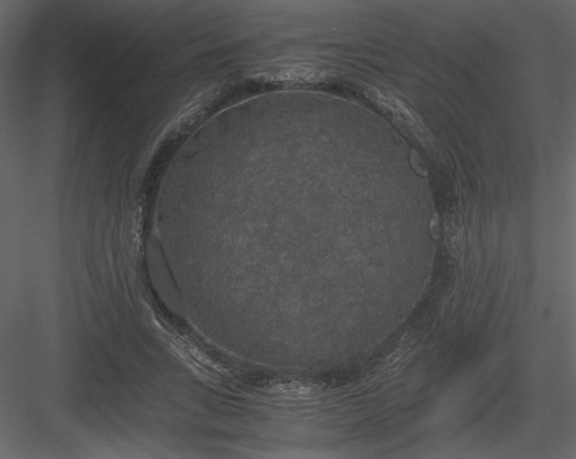 X0000083980735200702232044