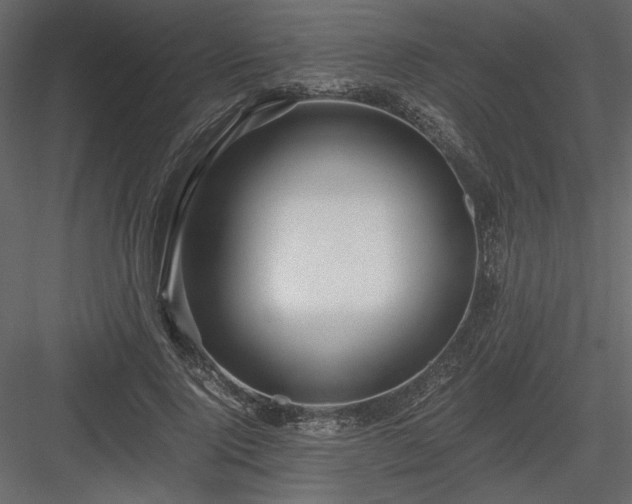 X0000083980740200702232044