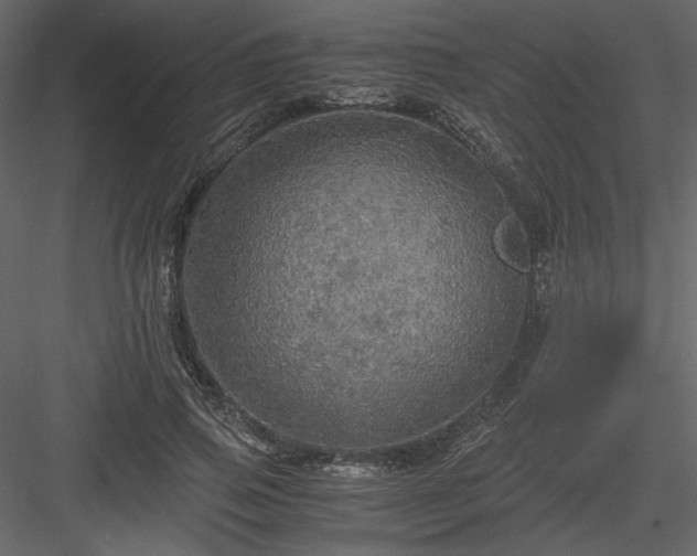 X0000083980741200702232044