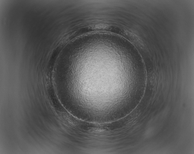 X0000083980743200702232044