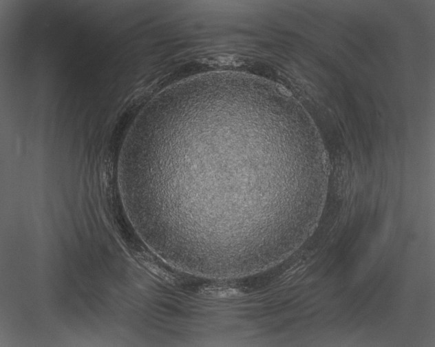 X0000083980747200702232044